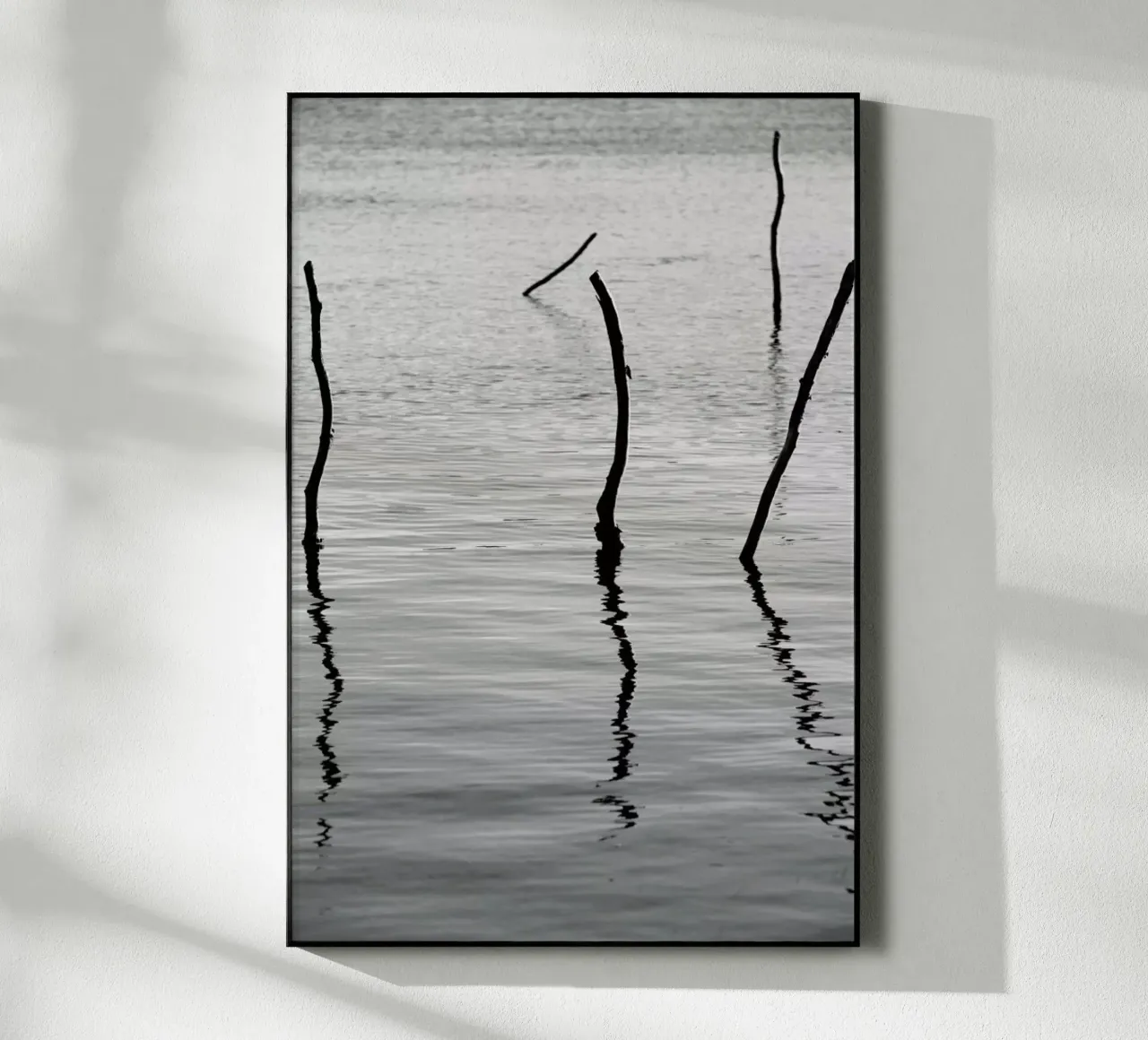 Reflect plexiglass da Shot By Clint