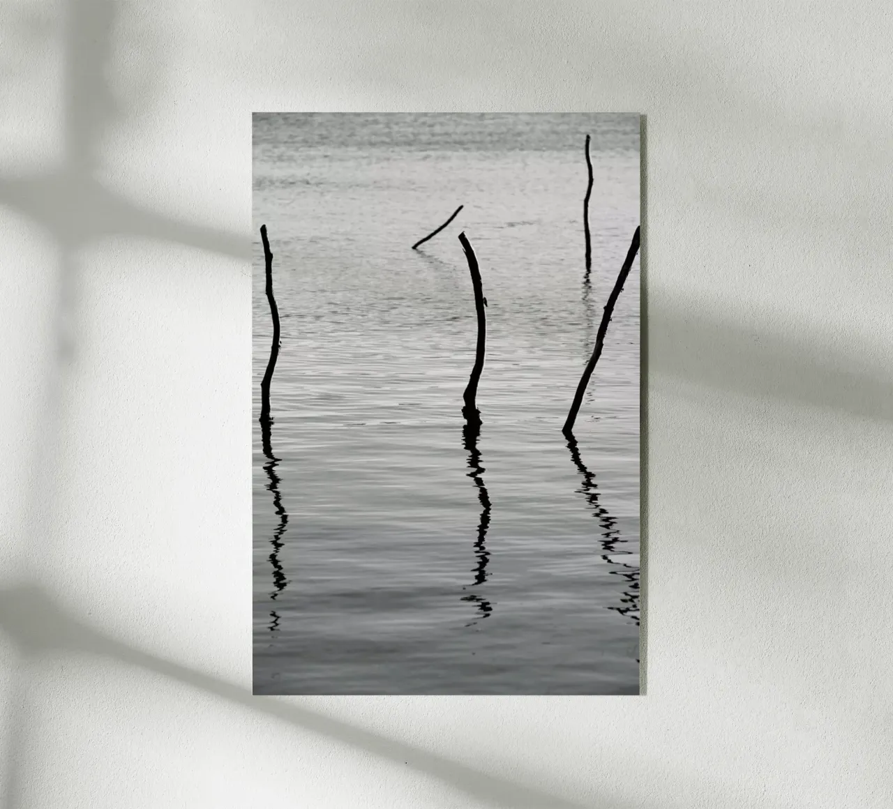 Reflect plexiglass da Shot By Clint