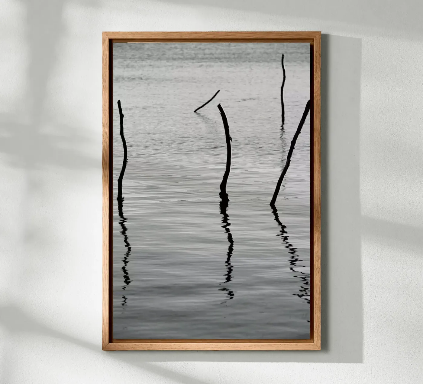 Reflect alluminio dibond da Shot By Clint