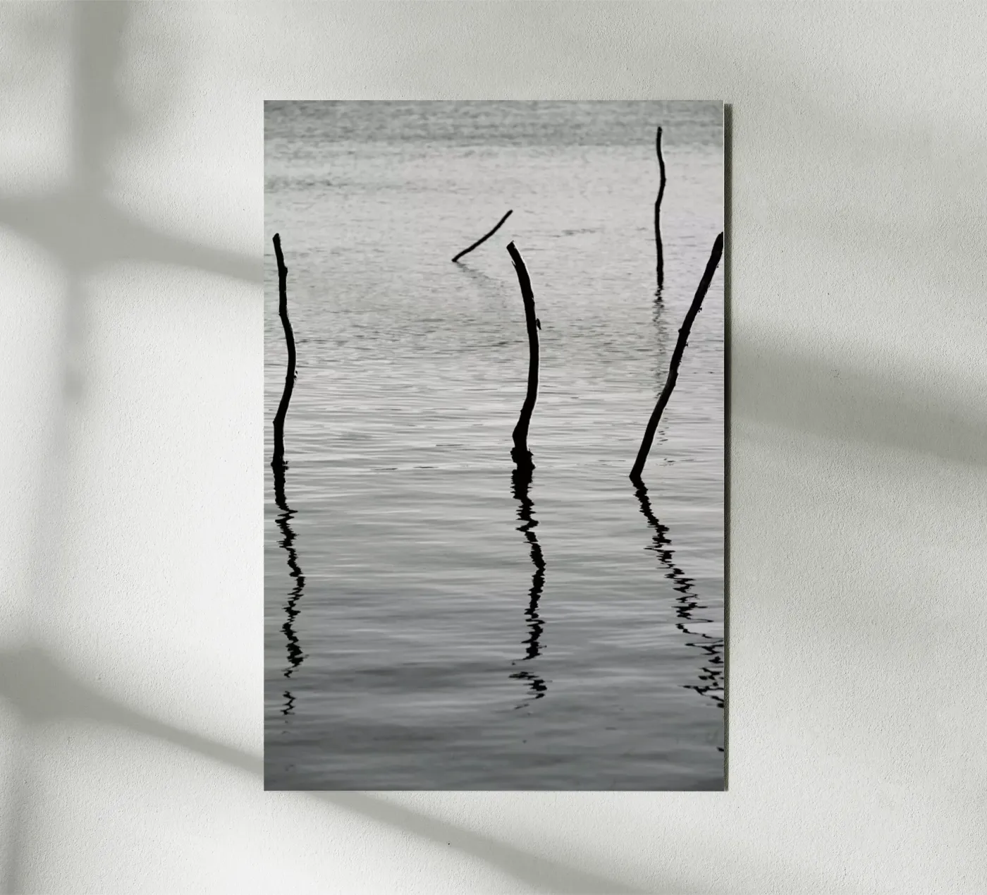 Reflect alluminio dibond da Shot By Clint