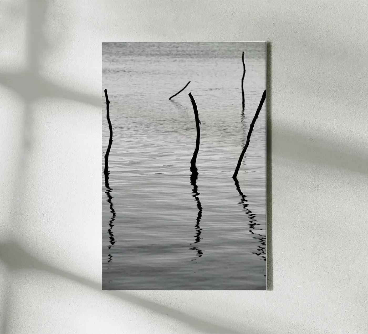 Reflect canvas by Shot By Clint