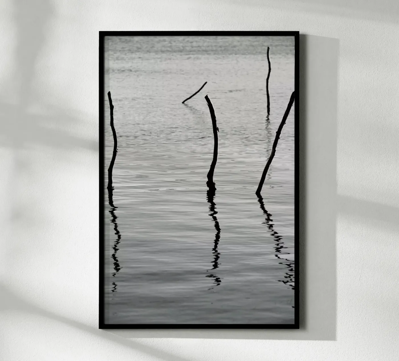 Reflect Poster von Shot By Clint