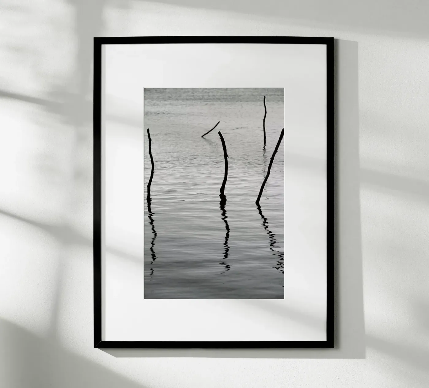 Reflect Poster von Shot By Clint