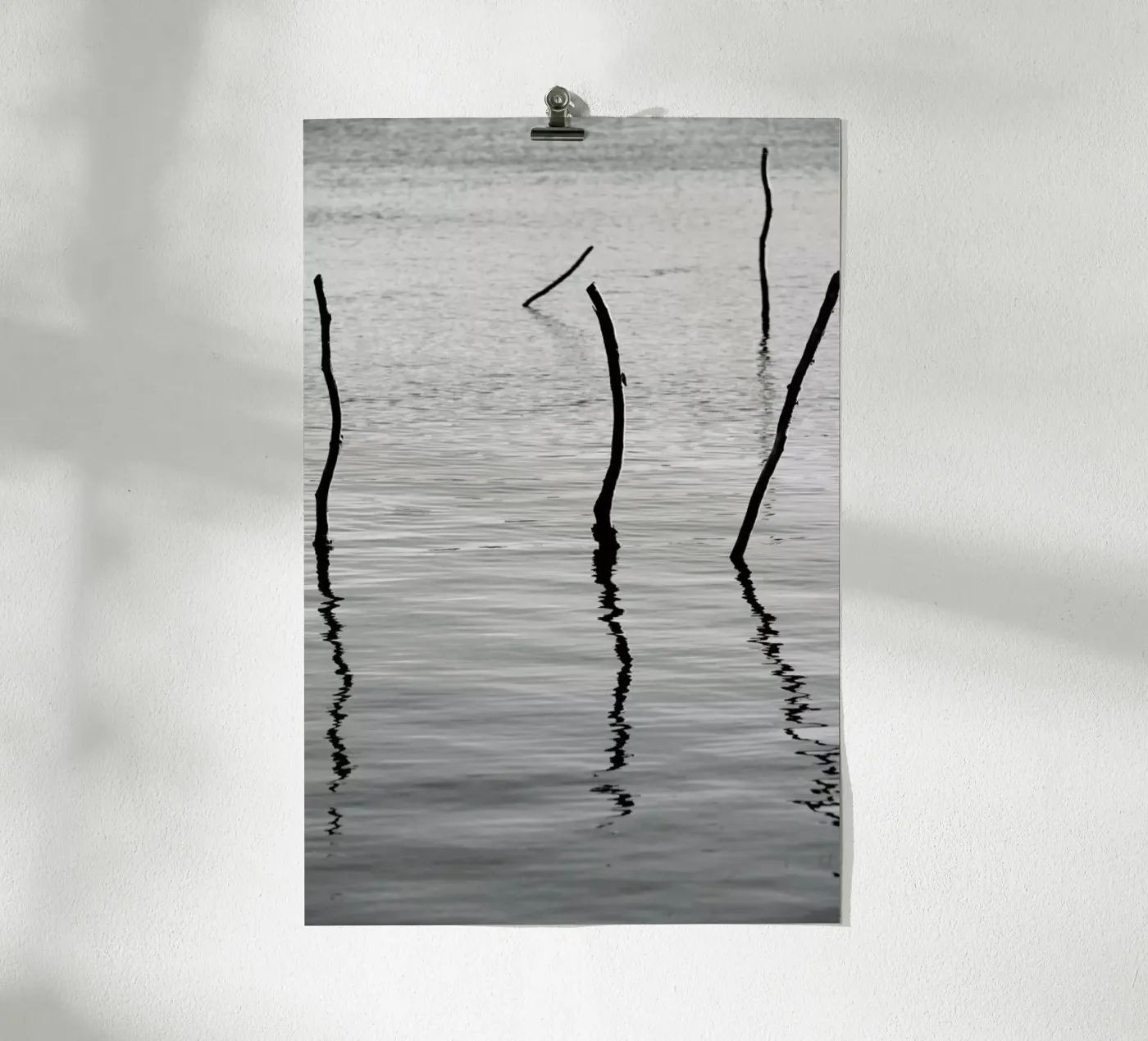 Reflect Poster von Shot By Clint