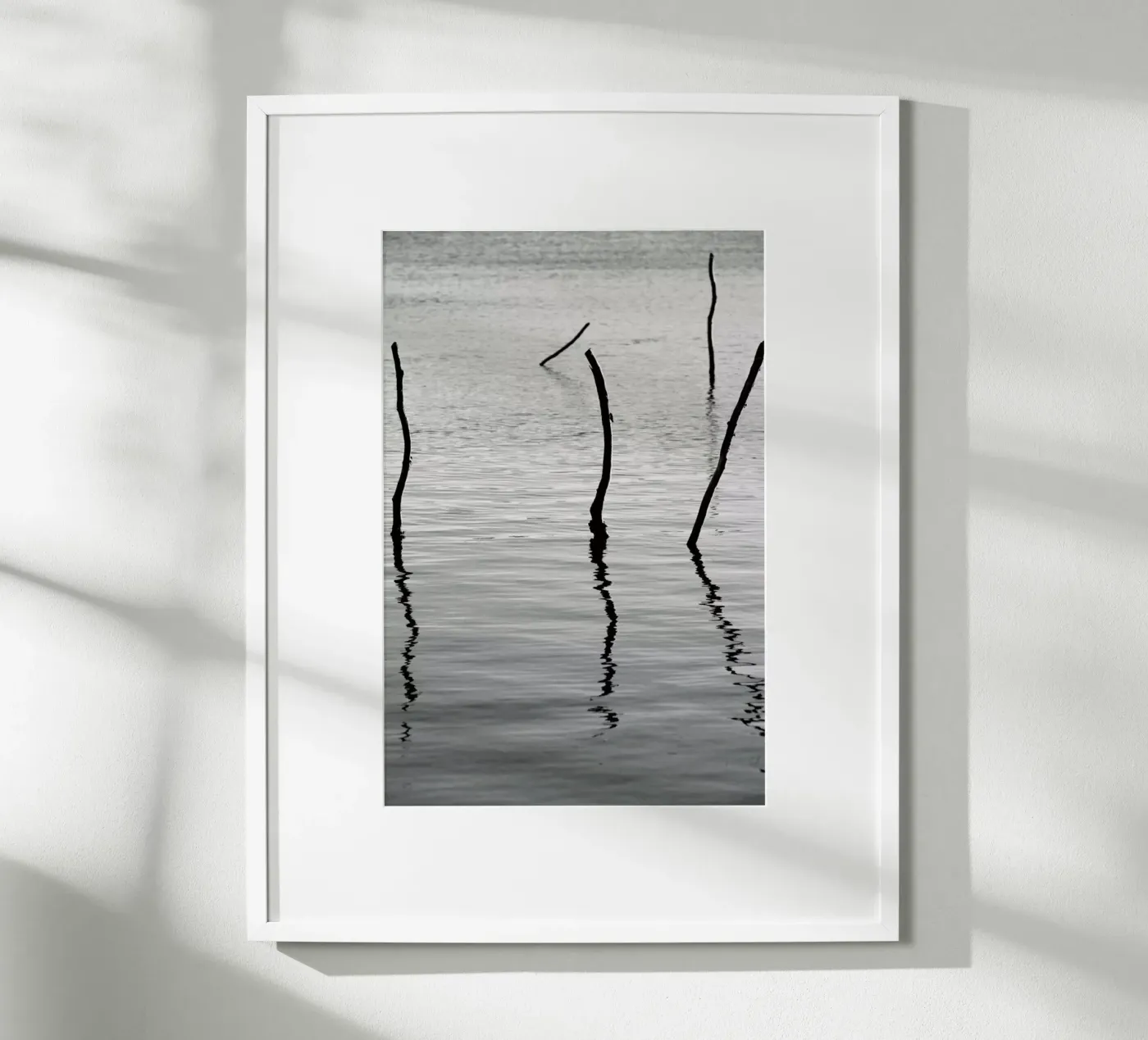 Reflect Poster von Shot By Clint