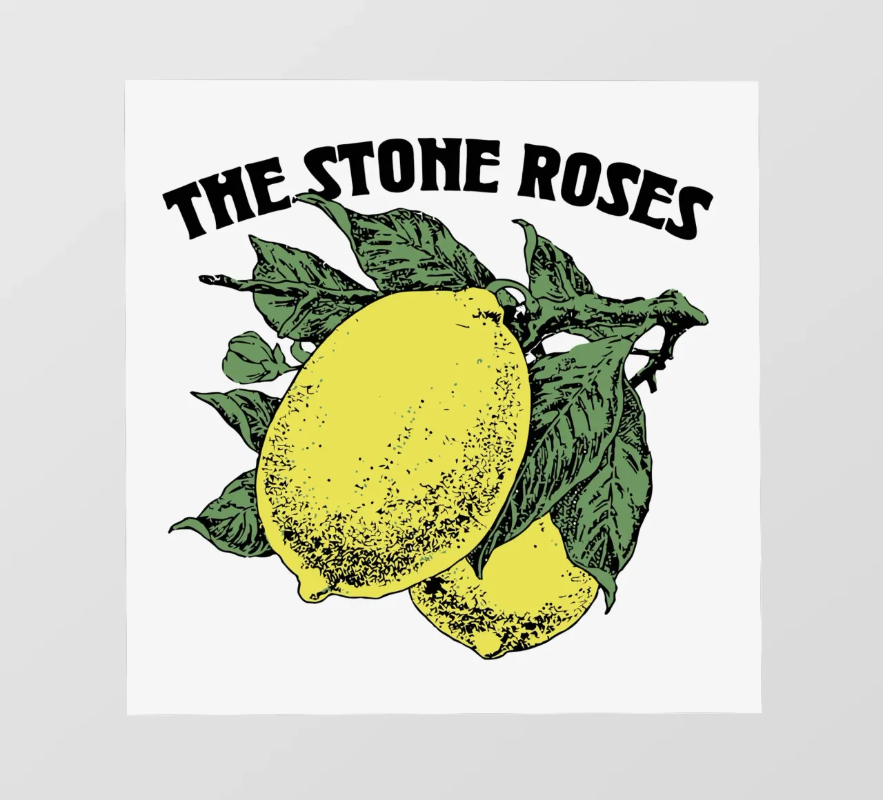 The Stone Roses pvc cover by lovelouie