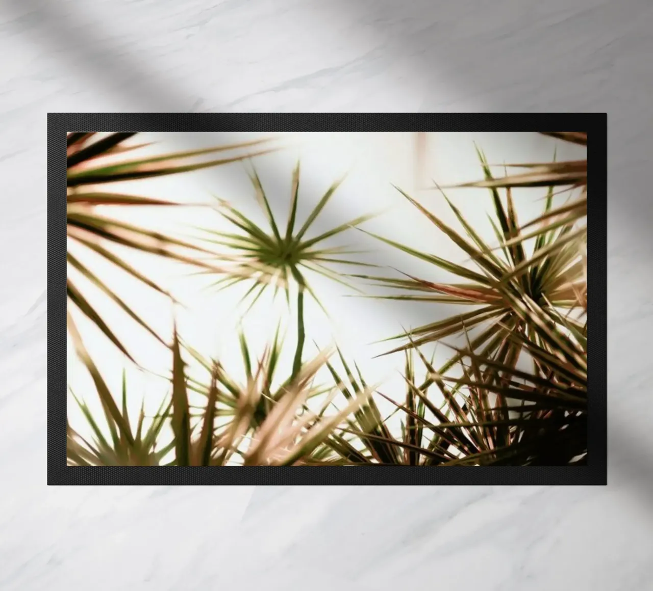 Starlight zerbino da Shot By Clint