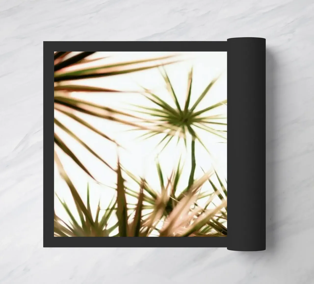 Starlight zerbino da Shot By Clint