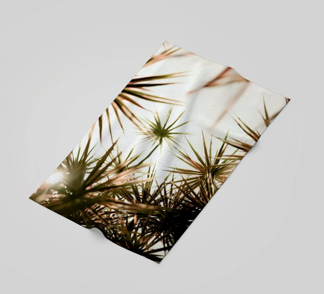 Starlight telo mare da Shot By Clint