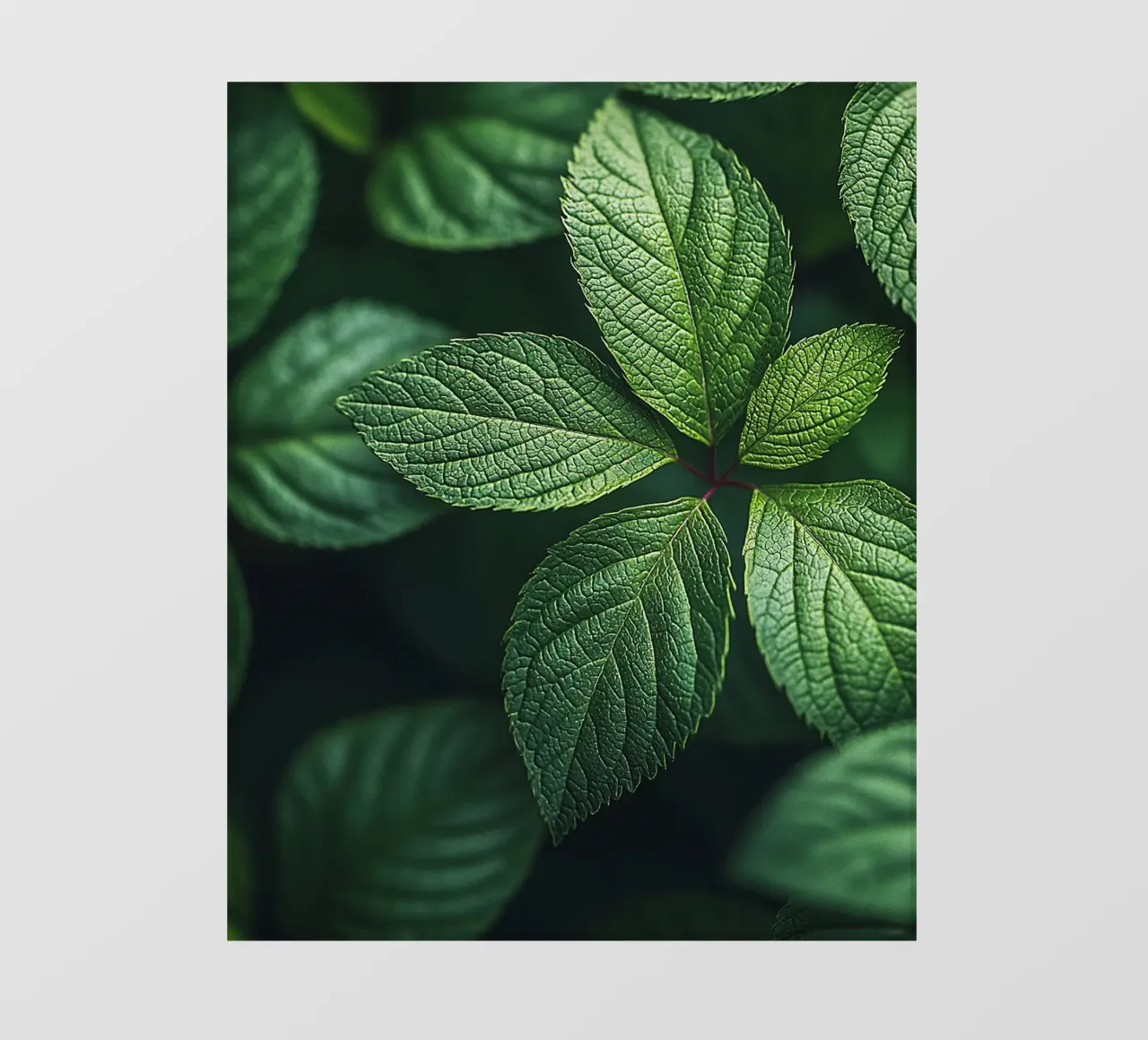 Macro Nature telo in pvc da PhotoVibe Decor