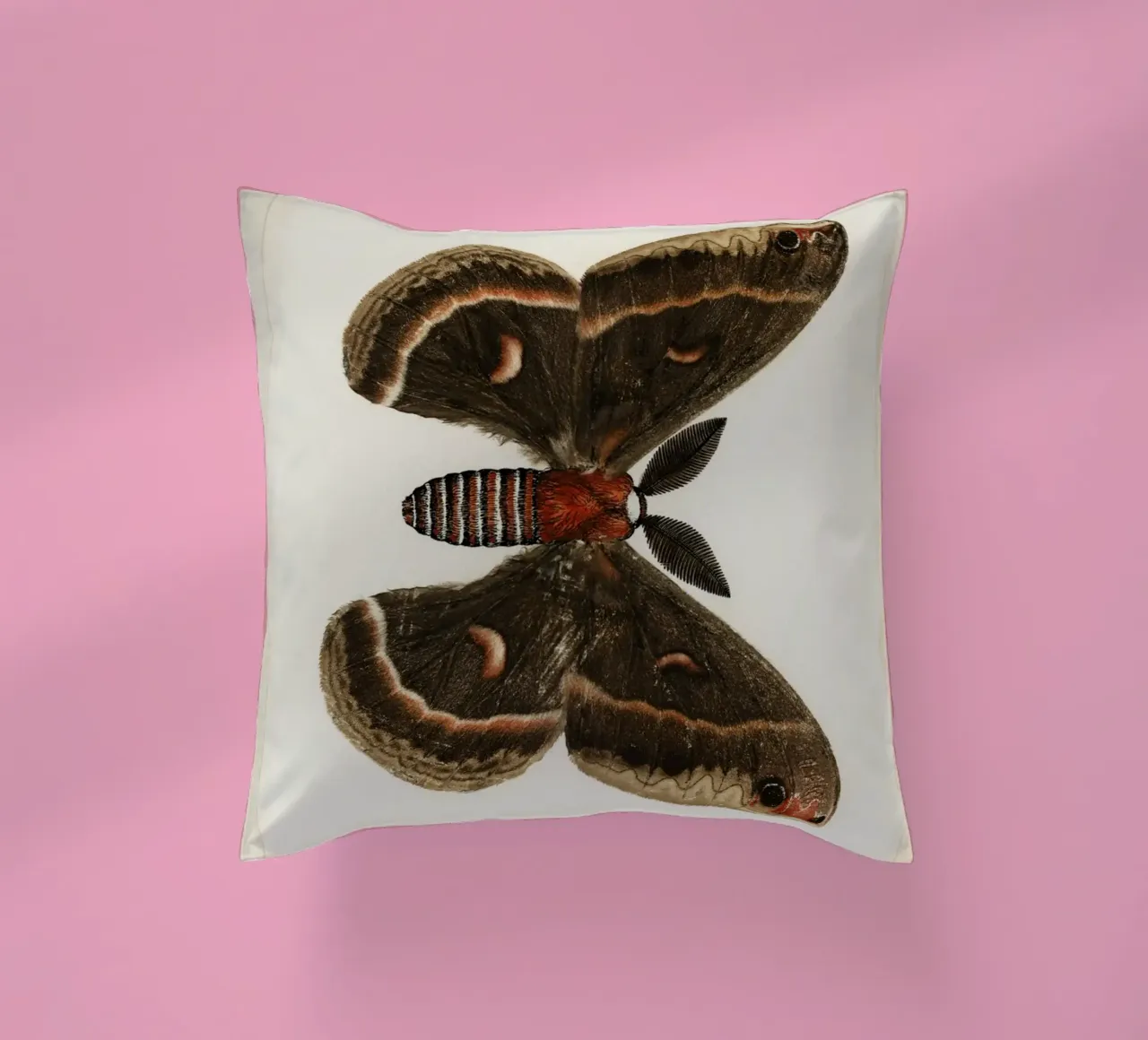Cecropia Moth  Butterflies cuscino da vintageshop