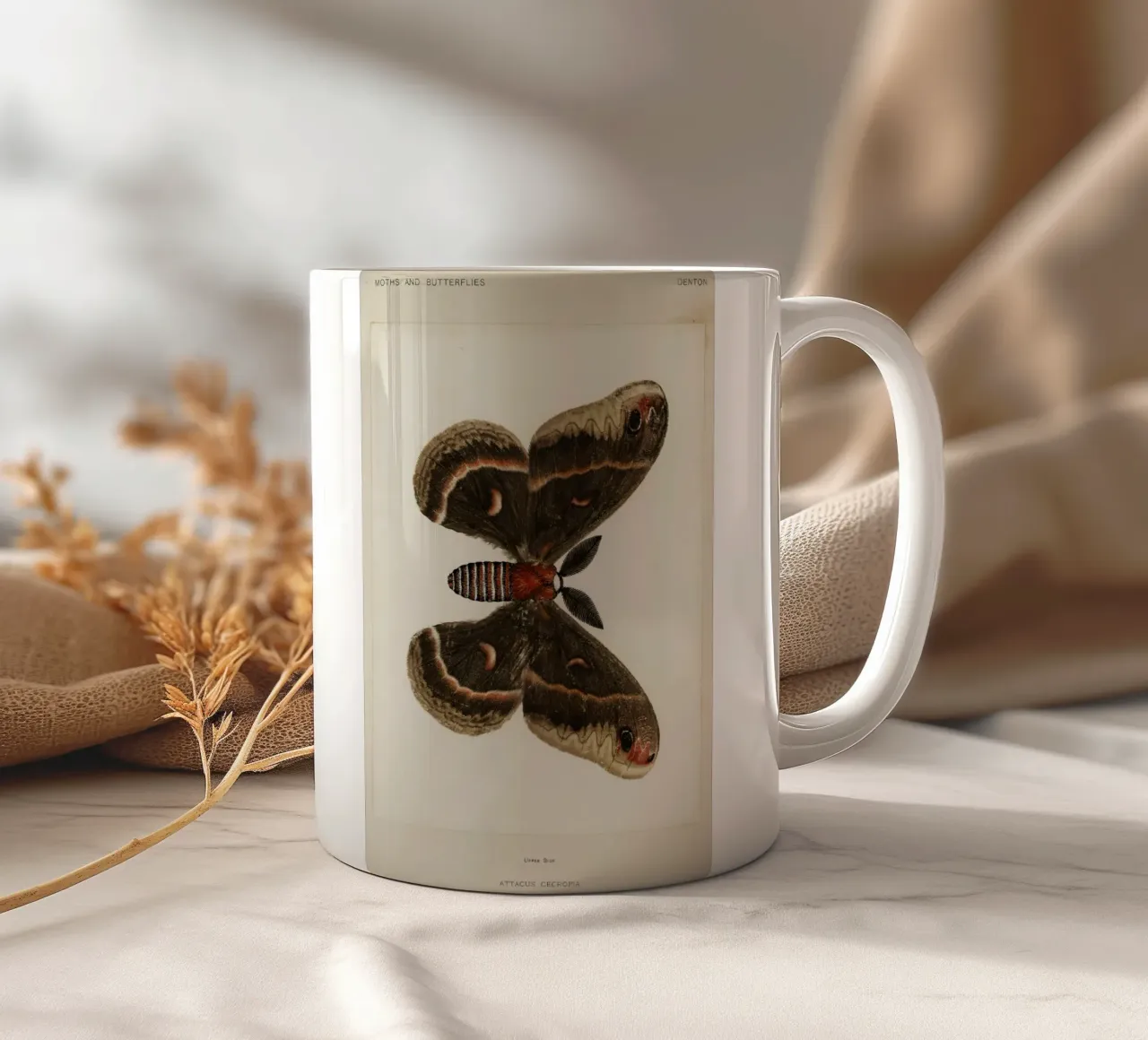 Cecropia Moth  Butterflies tazza in ceramica da vintageshop