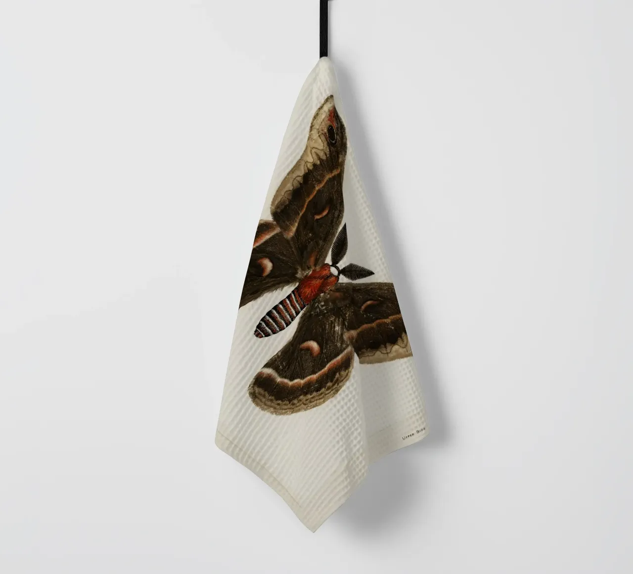 Cecropia Moth  Butterflies canovaccio da cucina da vintageshop