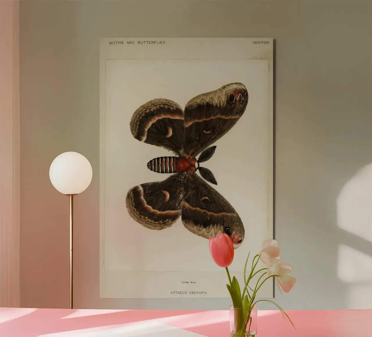 Cecropia Moth  Butterflies alluminio dibond da vintageshop