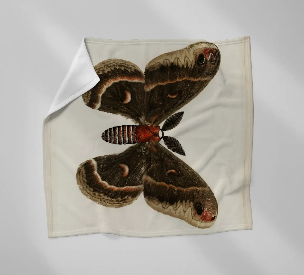 Cecropia Moth  Butterflies coperta in pile da vintageshop