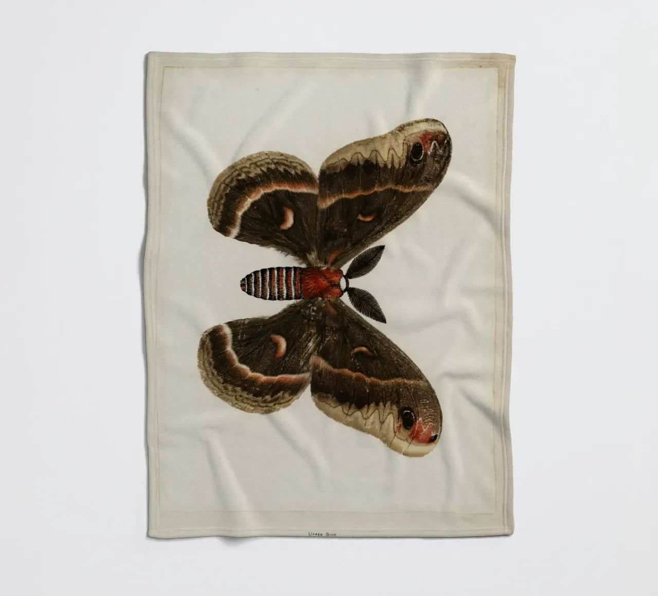 Cecropia Moth  Butterflies coperta in pile da vintageshop
