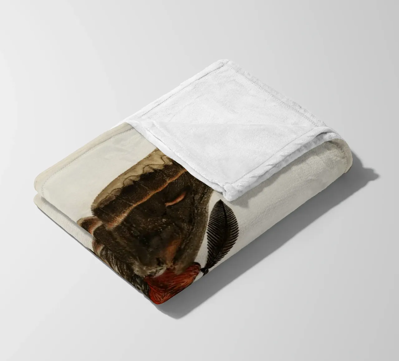Cecropia Moth  Butterflies coperta in pile da vintageshop