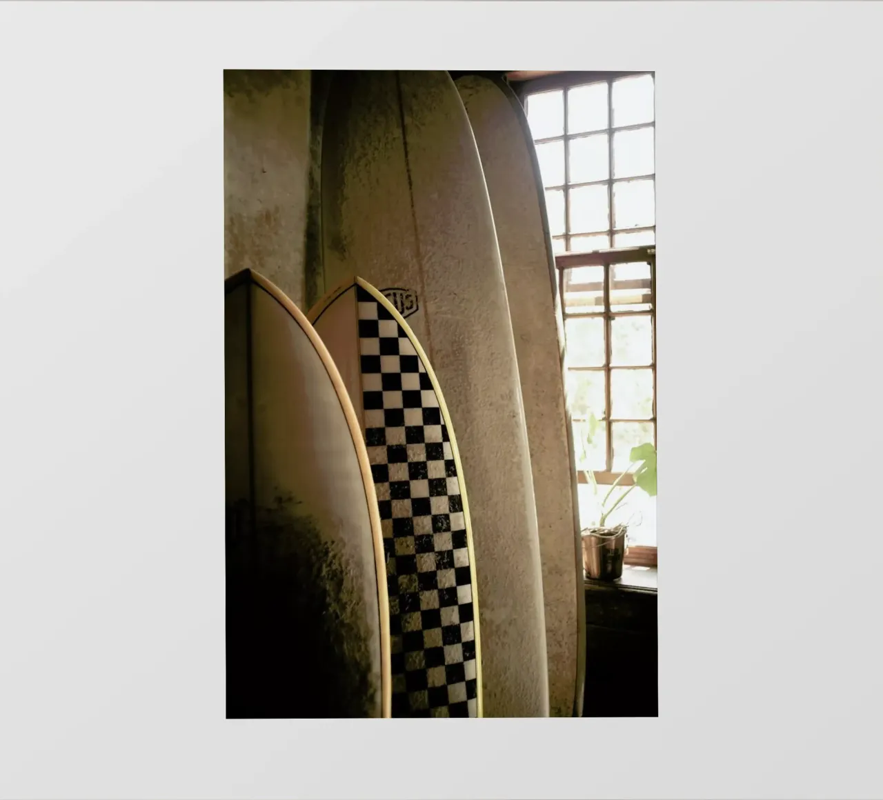 Deus pellicola backlit da Shot By Clint