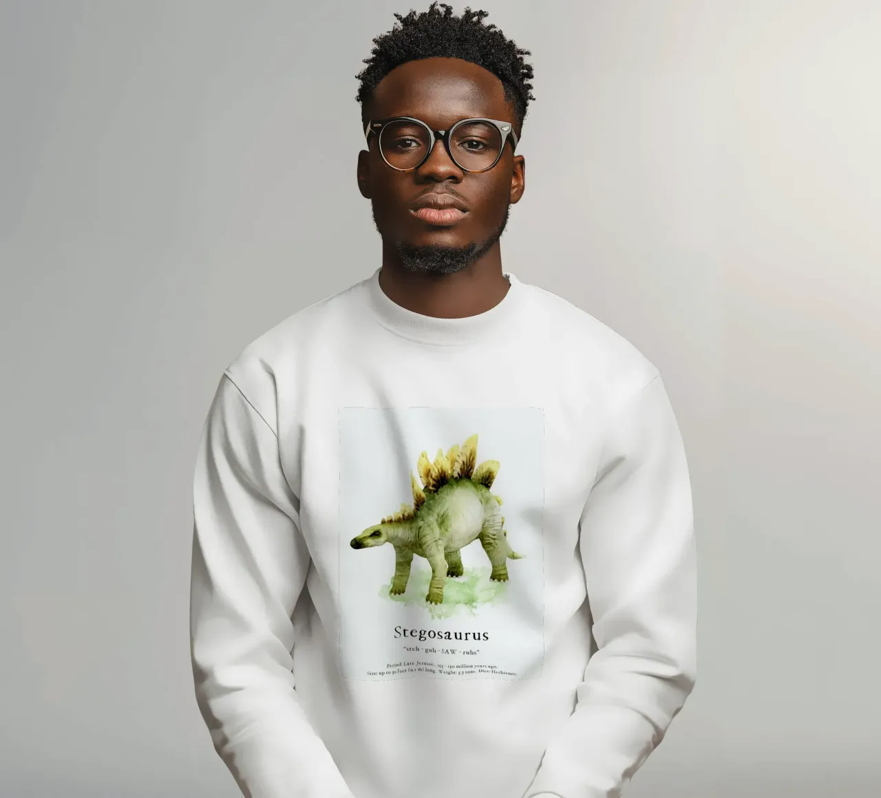 Stegosaurus sweatshirt by Lila x Lola