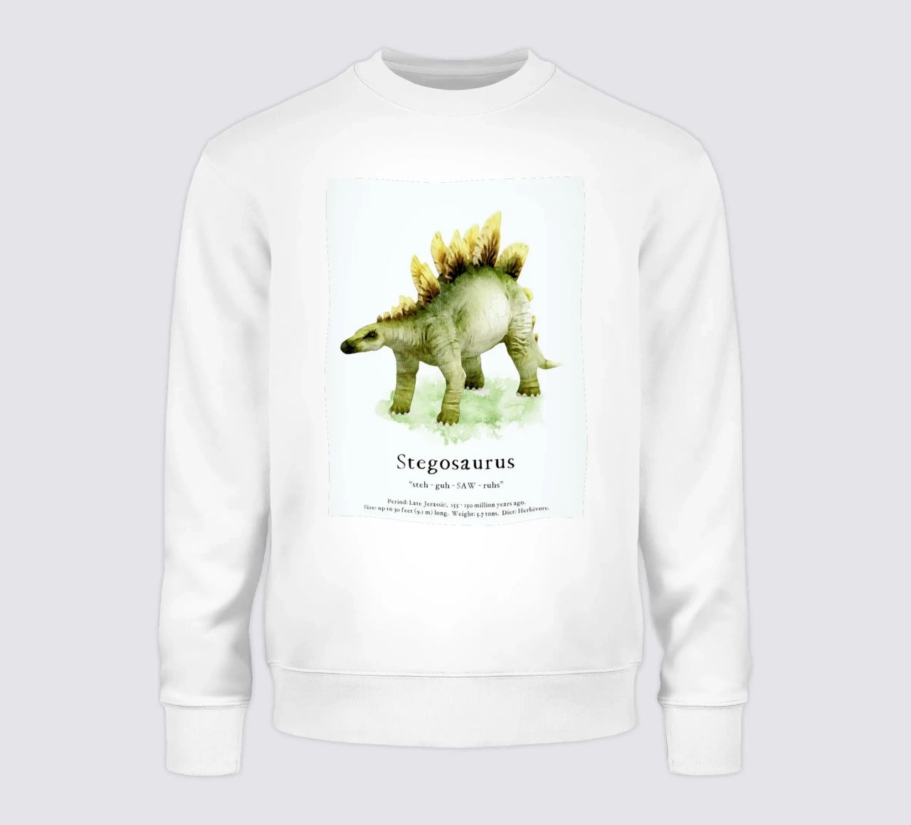 Stegosaurus sudadera de Lila x Lola