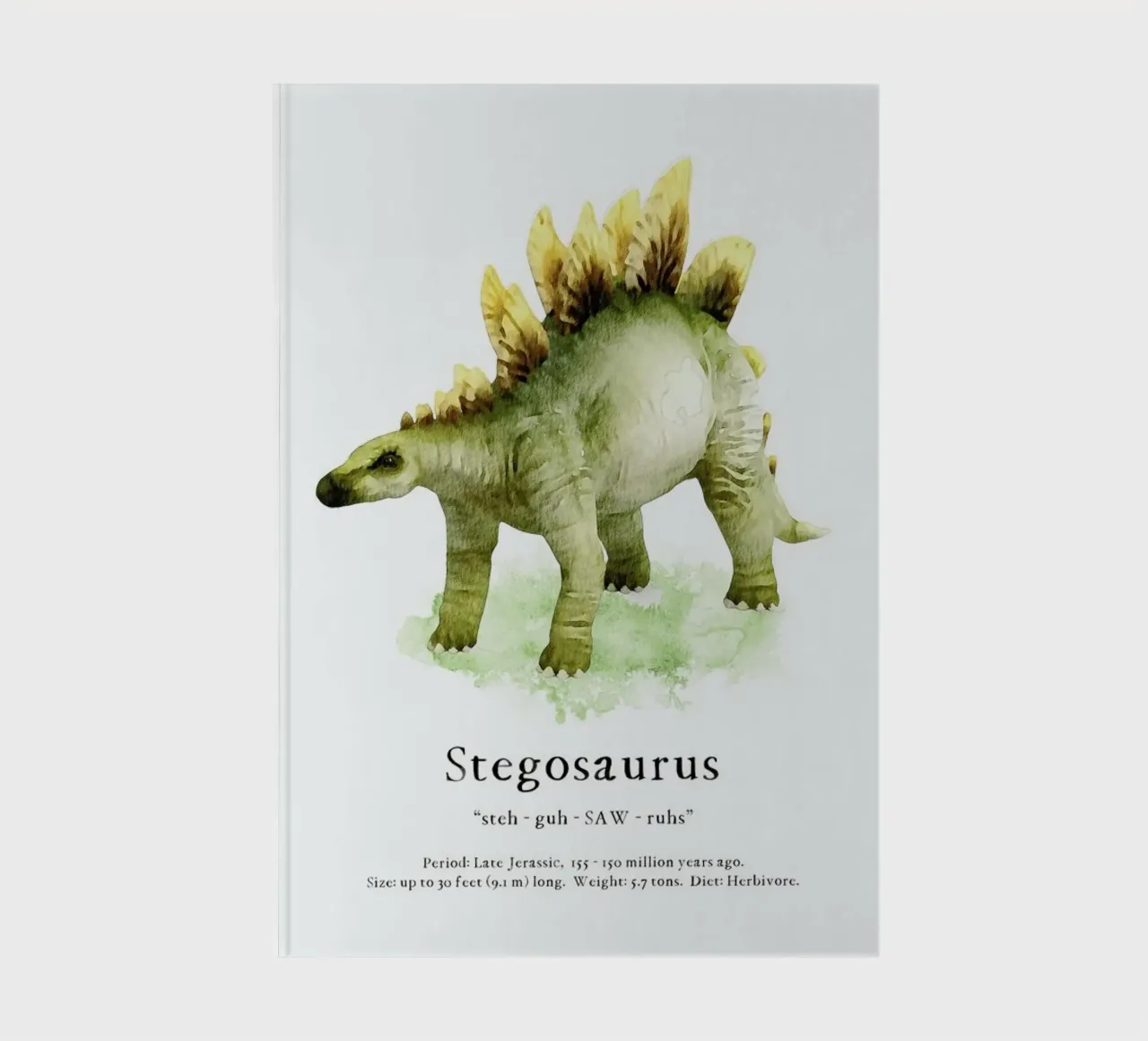 Stegosaurus notebook by Lila x Lola
