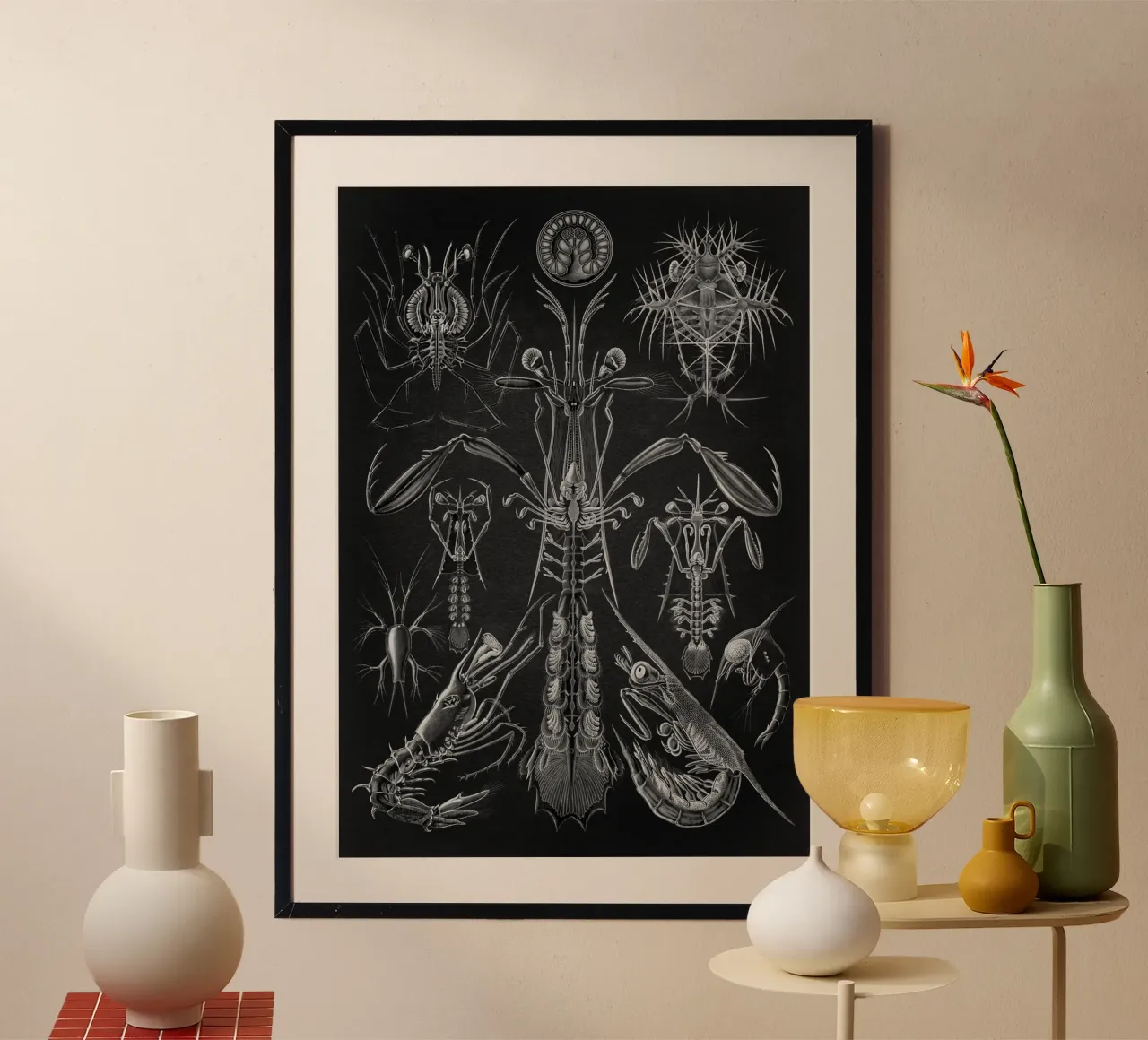 Vintage Haeckel 9 Tafel 76 Panzerkrebse poster con telaio in alluminio da Vintage Print Collection