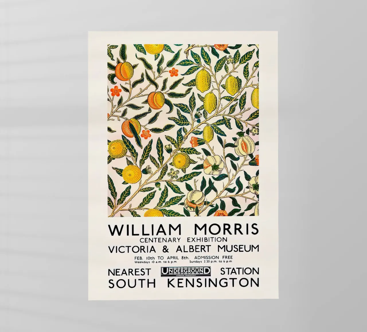 William Morris modello Citrus - Mostra pellicola backlit da Flower