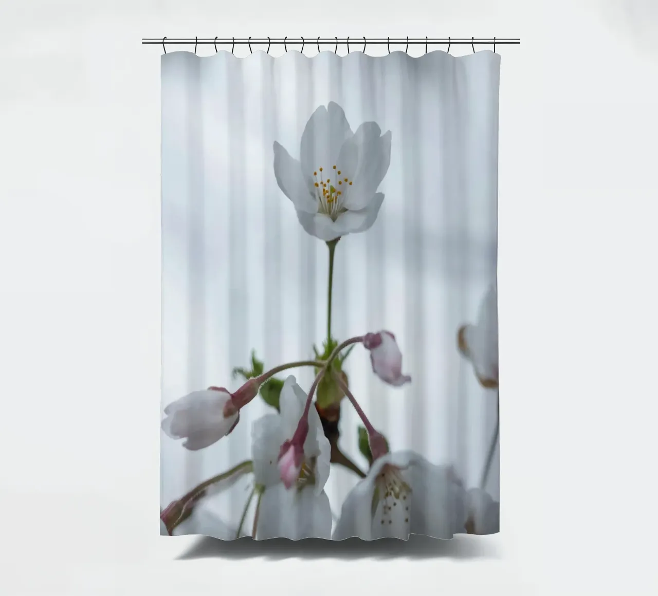 fiori di ciliegio petali bianchi tenda da doccia da Earthly Visions