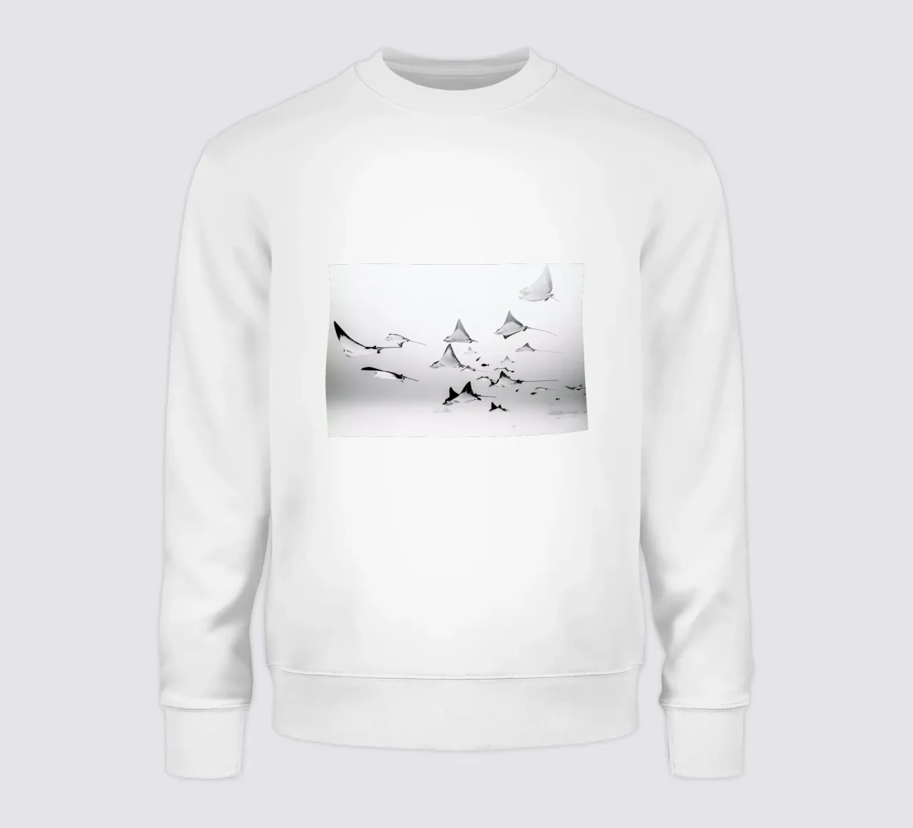 Rays felpa da EyeEm Mobile GmbH