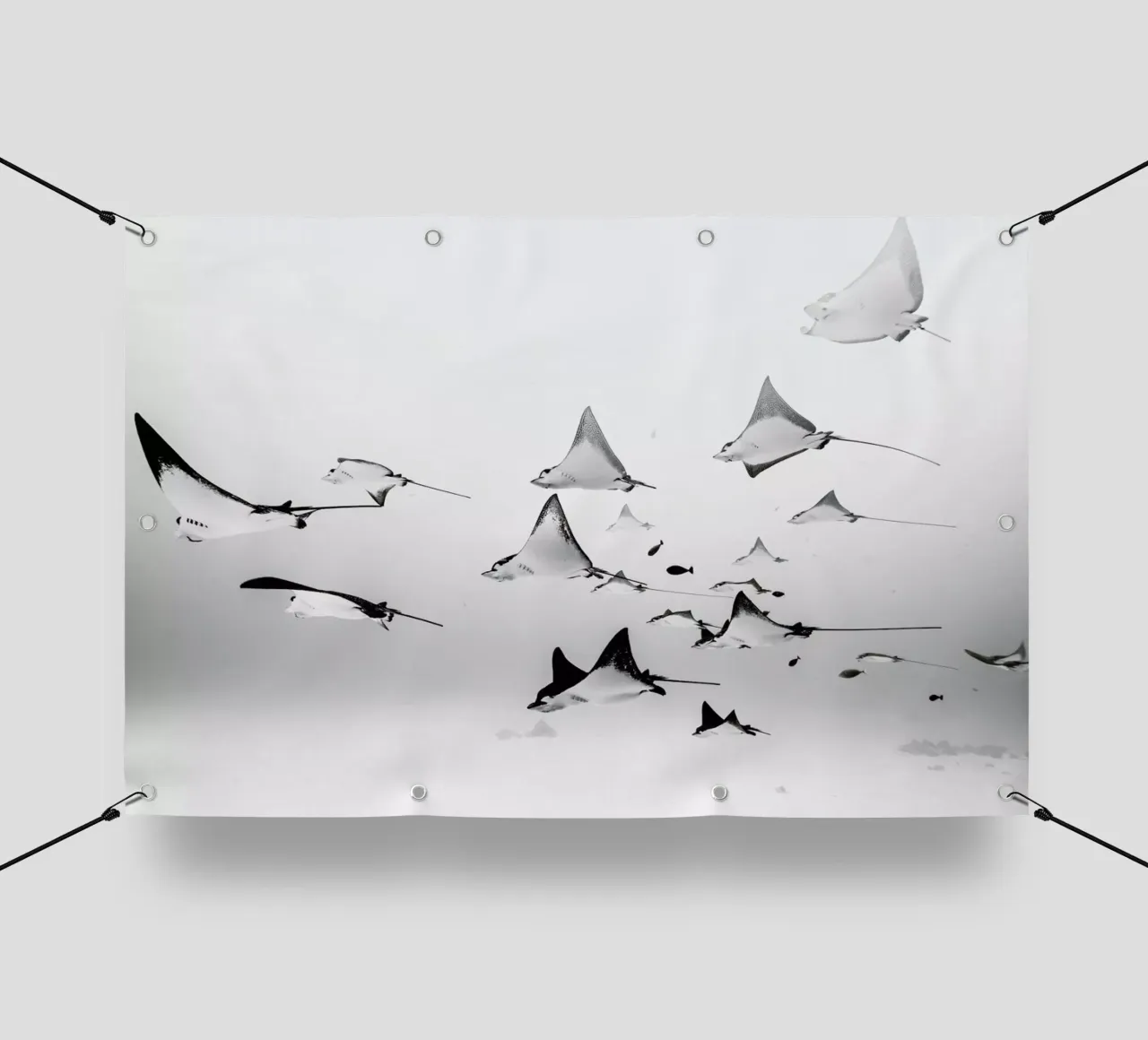 Rays telo in pvc da EyeEm Mobile GmbH