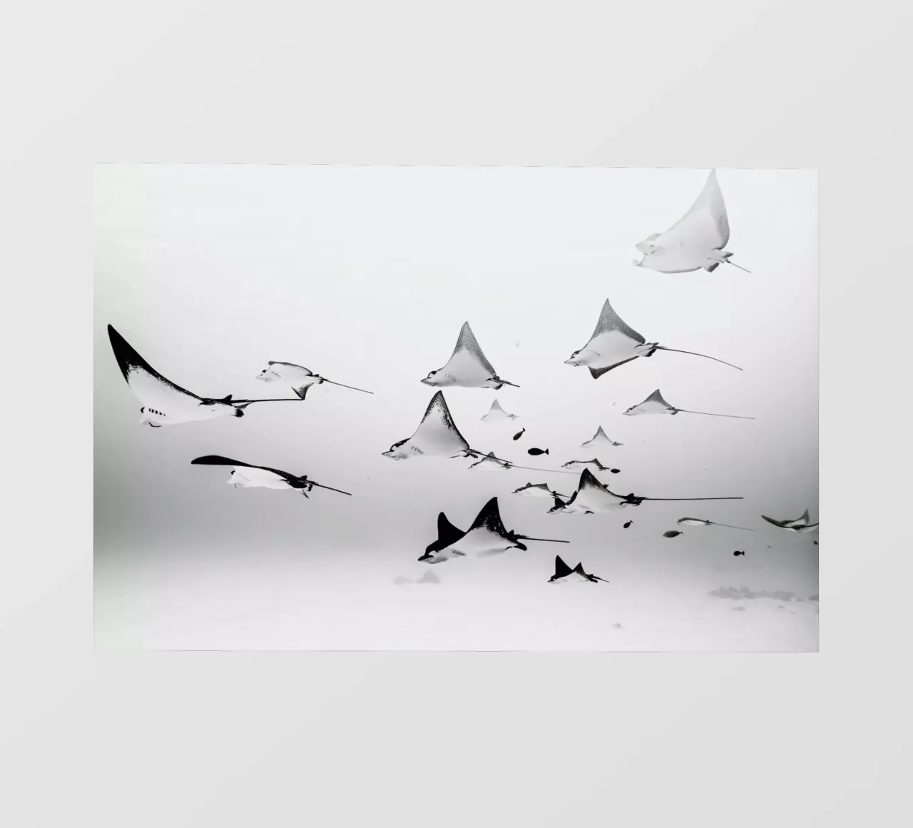 Rays telo in pvc da EyeEm Mobile GmbH