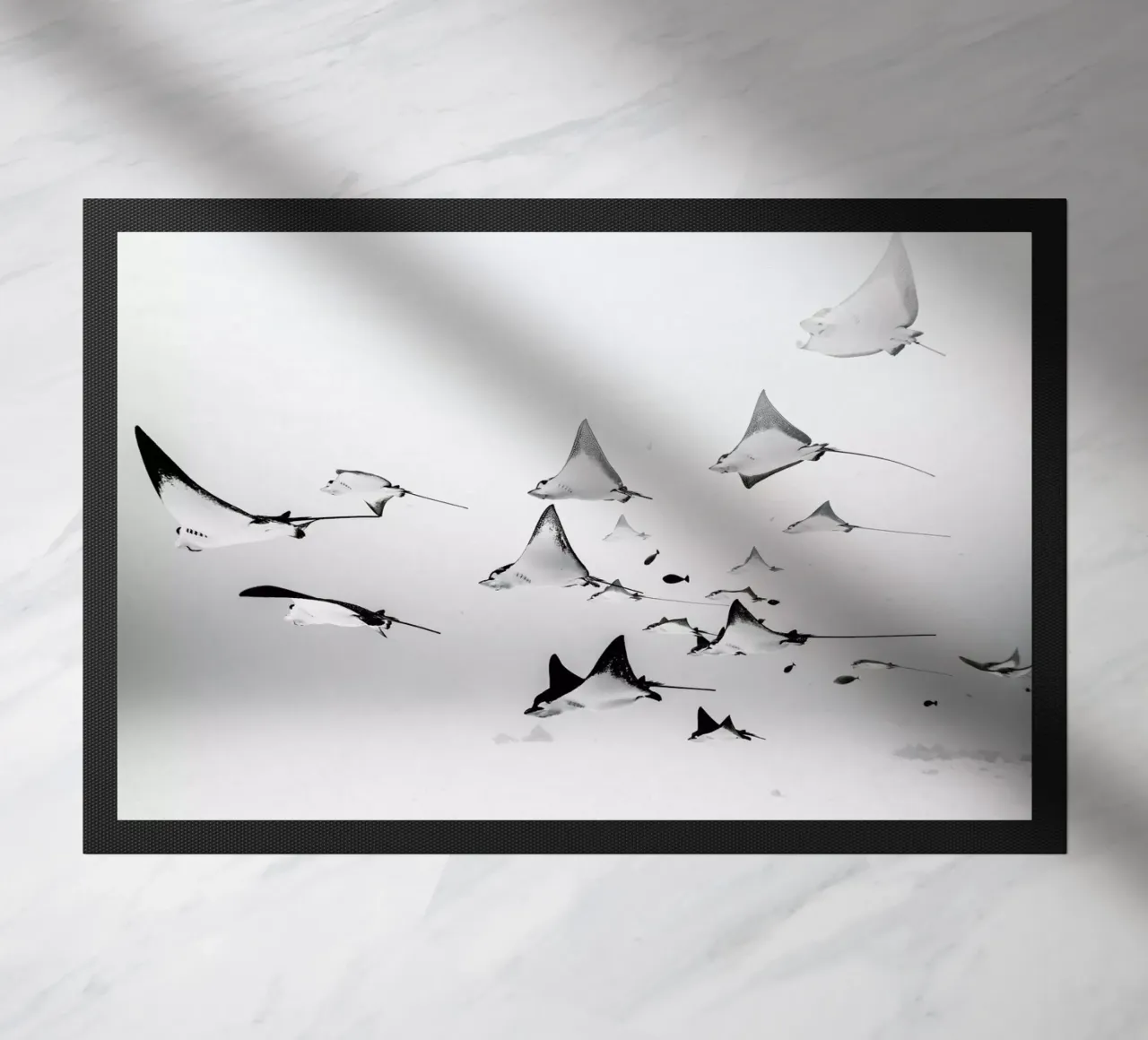 Rays zerbino da EyeEm Mobile GmbH