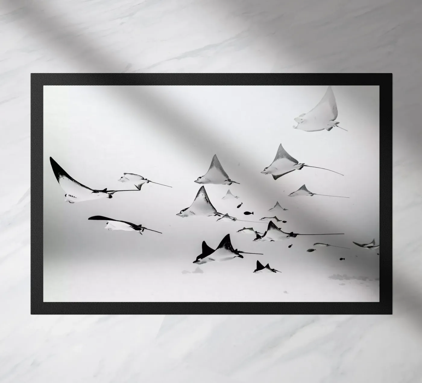 Rays zerbino da EyeEm Mobile GmbH