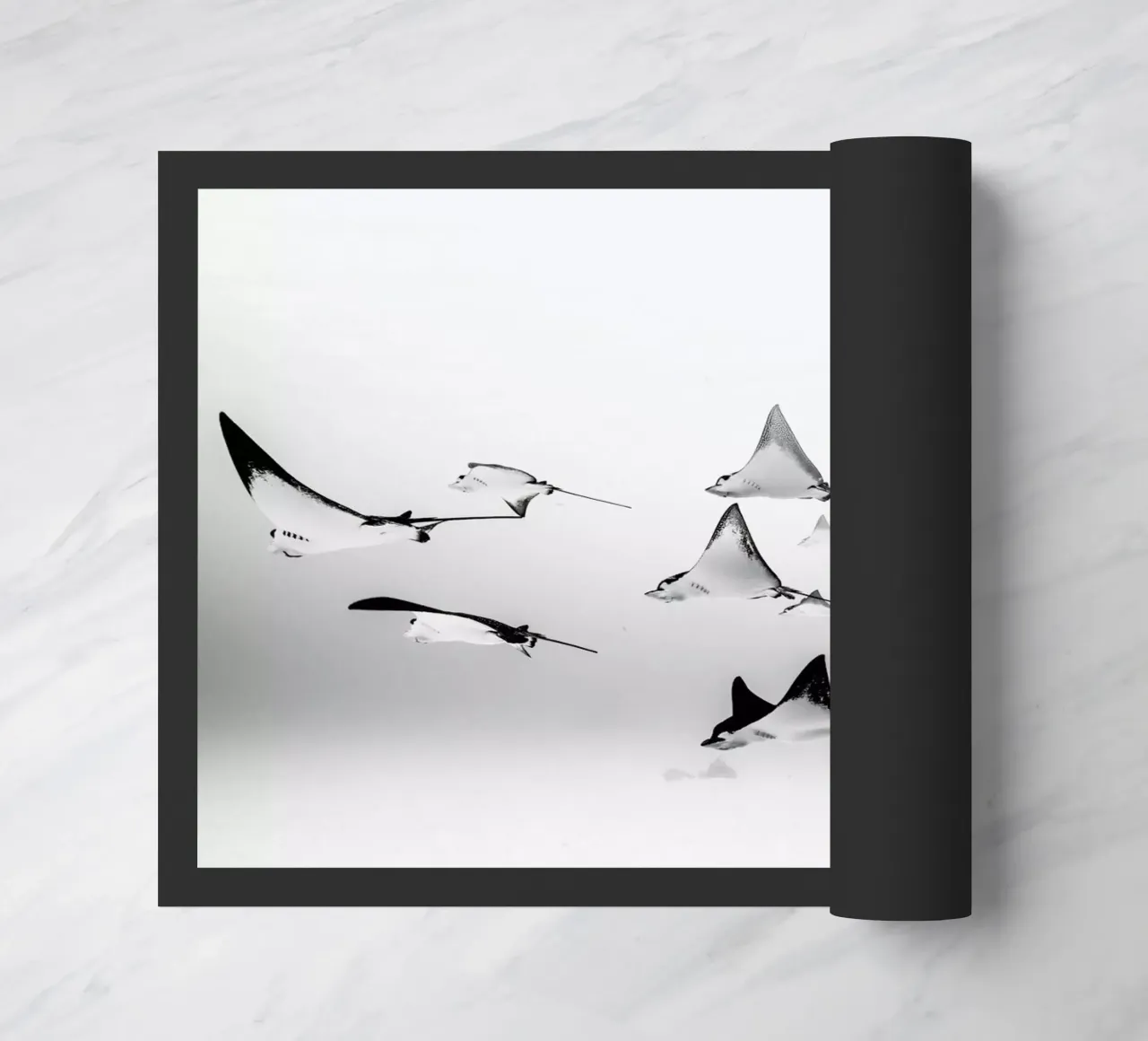 Rays zerbino da EyeEm Mobile GmbH