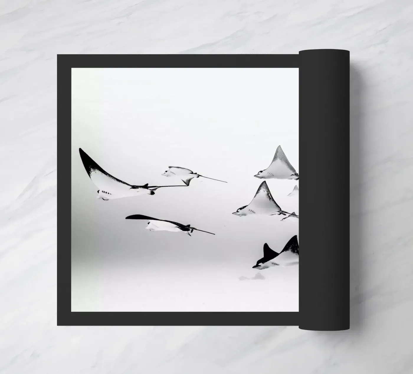 Rays zerbino da EyeEm Mobile GmbH