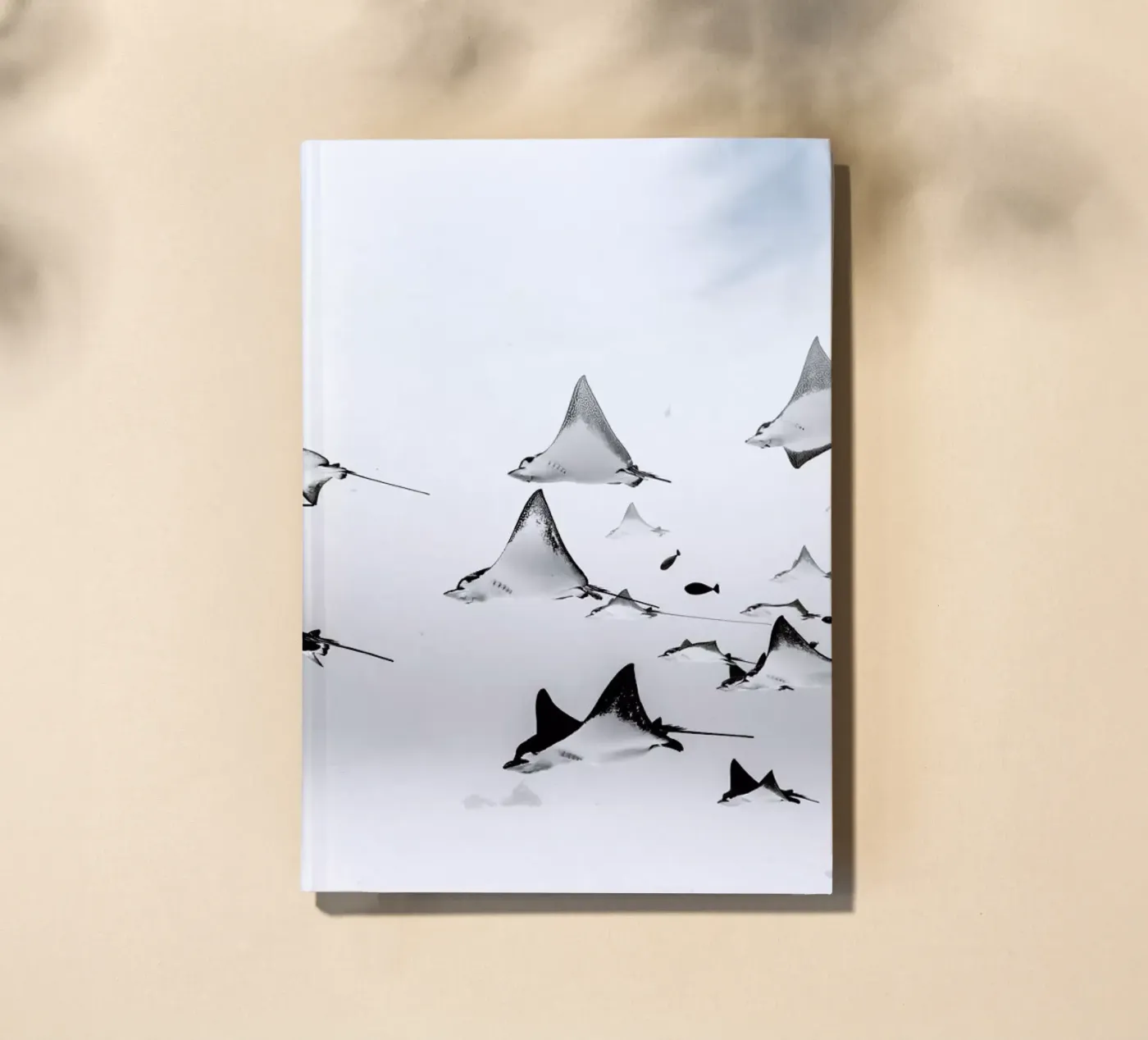 Rays notebook by EyeEm Mobile GmbH