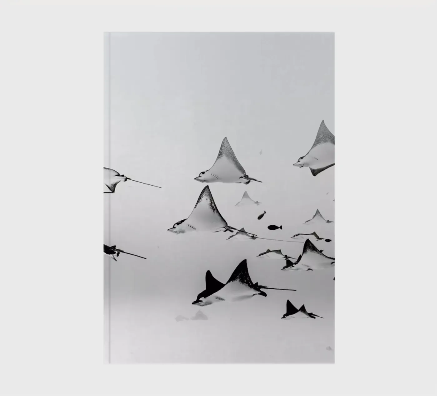 Rays notitieboek van EyeEm Mobile GmbH