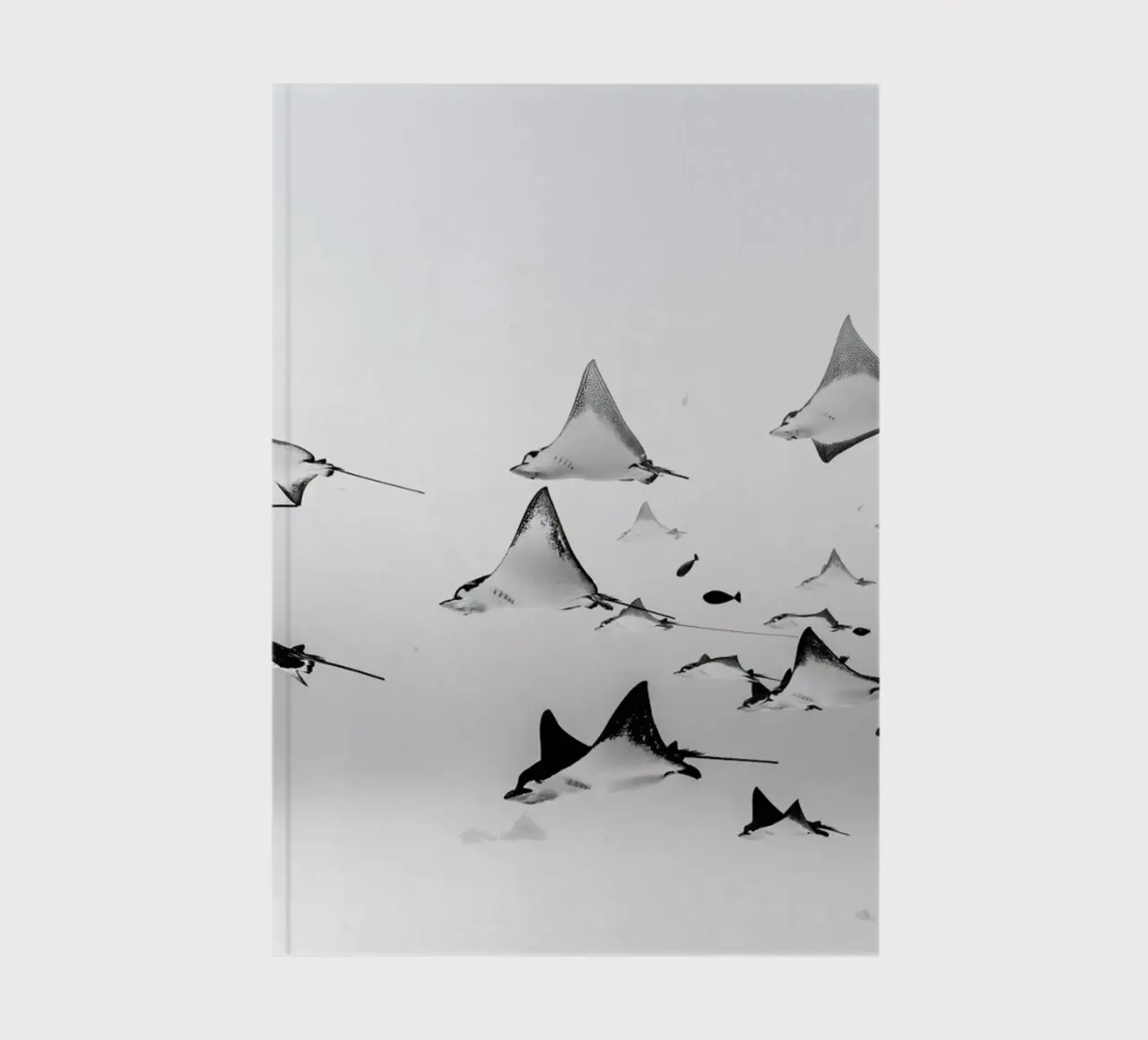 Rays notebook by EyeEm Mobile GmbH