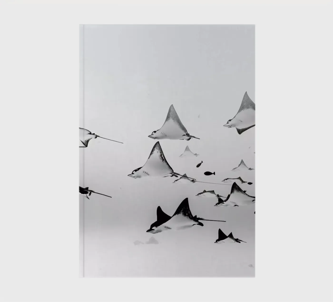 Rays notebook by EyeEm Mobile GmbH