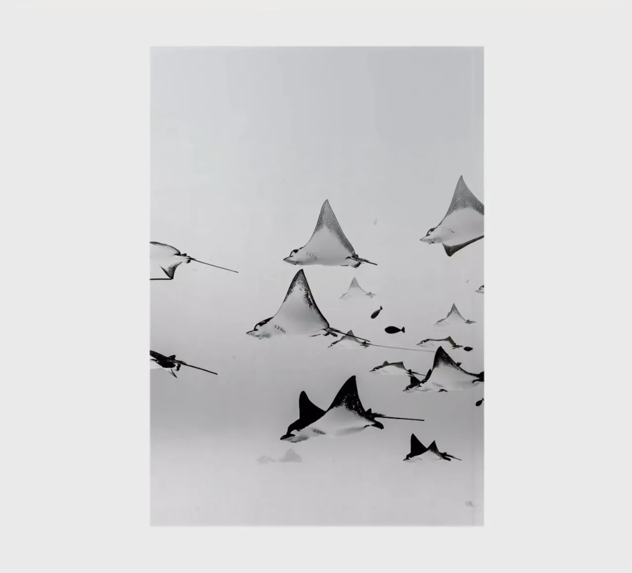 Rays notebook by EyeEm Mobile GmbH
