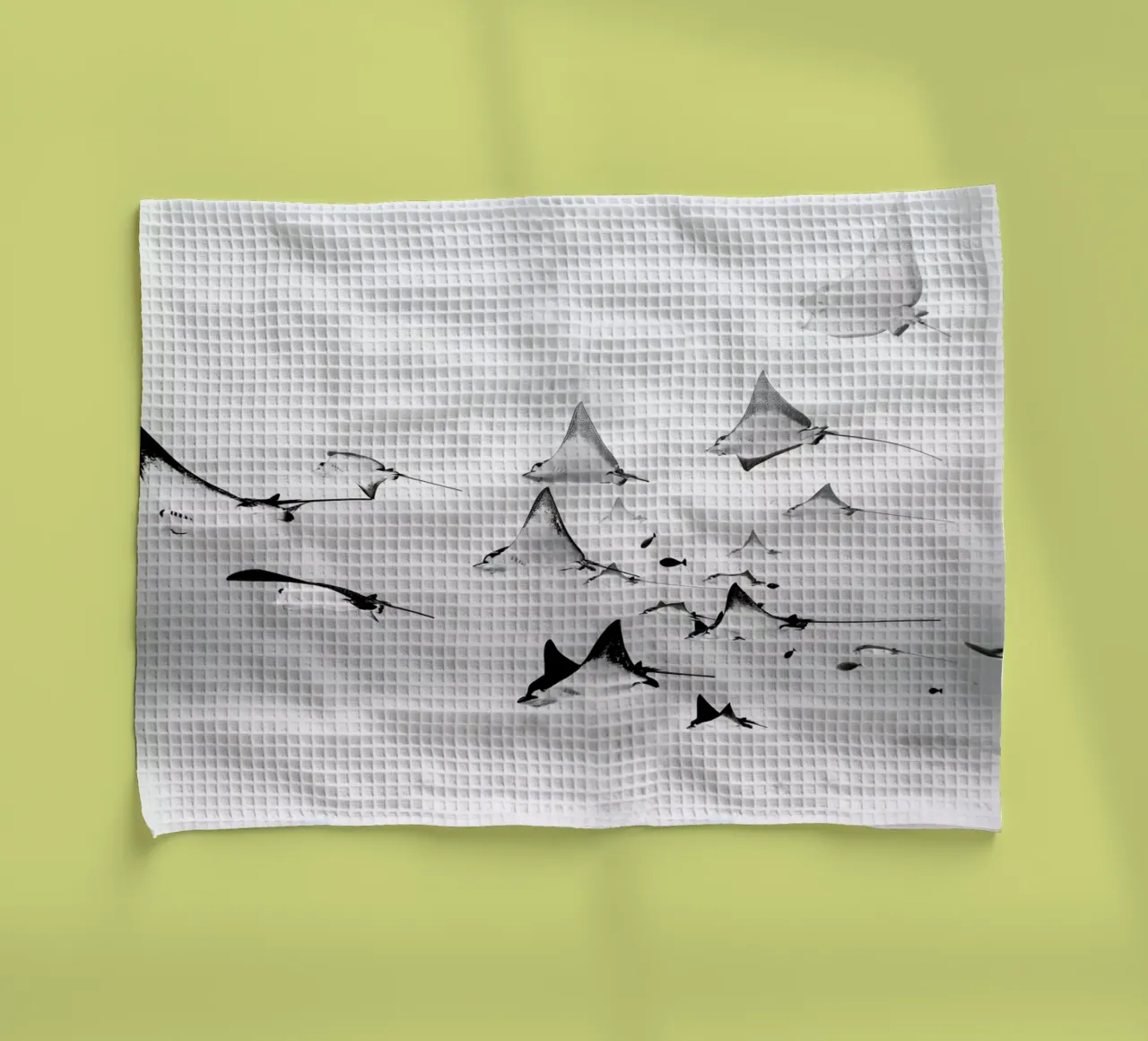 Rays torchon de EyeEm Mobile GmbH