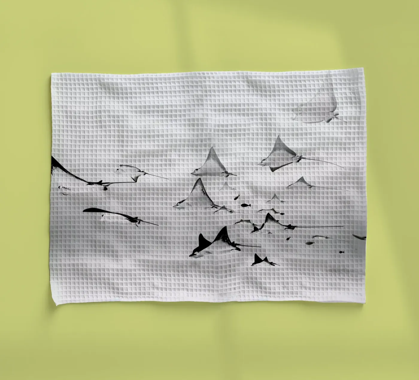 Rays torchon de EyeEm Mobile GmbH