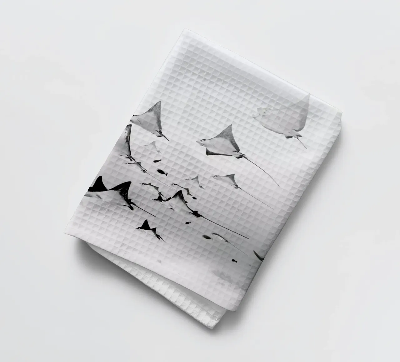 Rays torchon de EyeEm Mobile GmbH