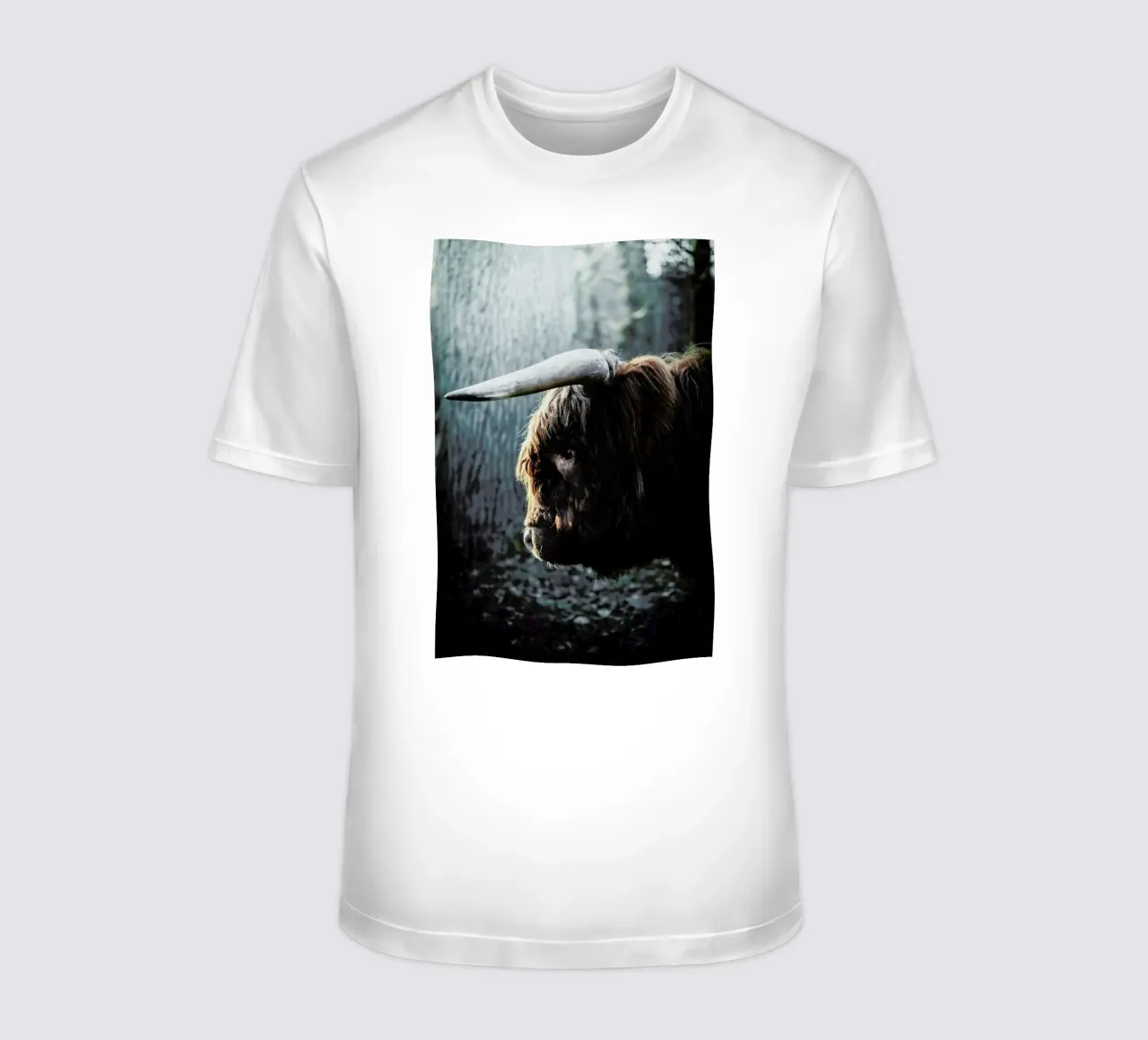 Highland in Woods T-Shirt von Natural Kingdom
