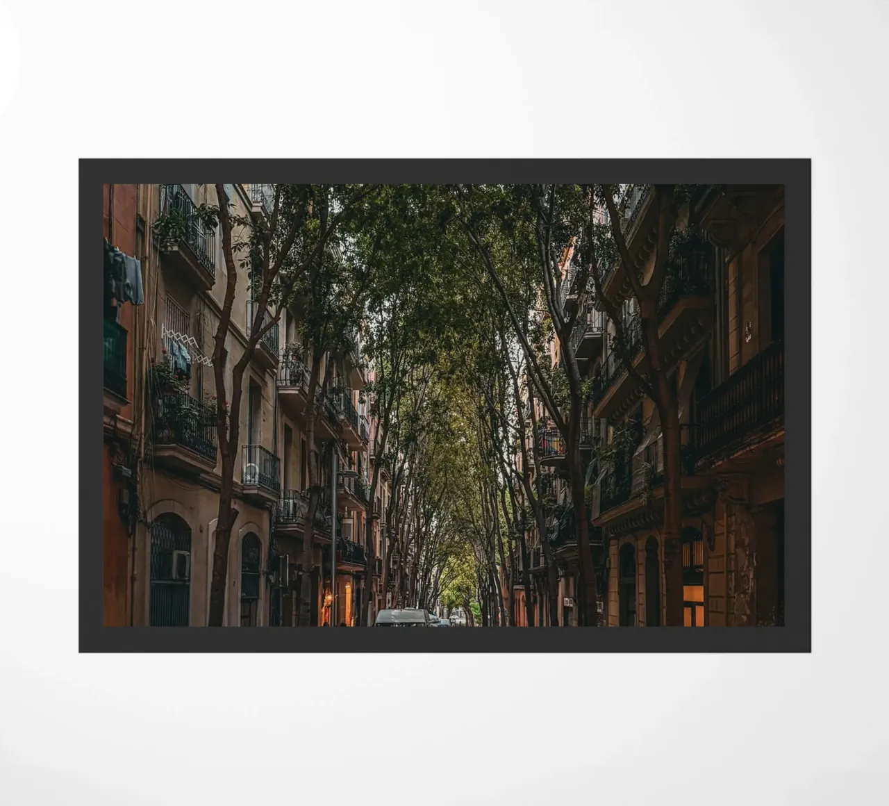 Under the Trees – Streets of Barcelona II zerbino da Thilo Grøsch