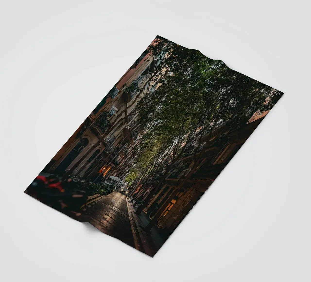 Under the Trees – Streets of Barcelona II coperta in pile da Thilo Grøsch