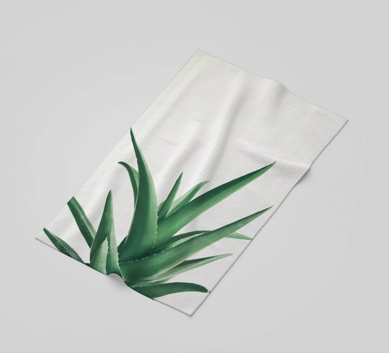 Foglie telo mare da Cassia Beck Photography