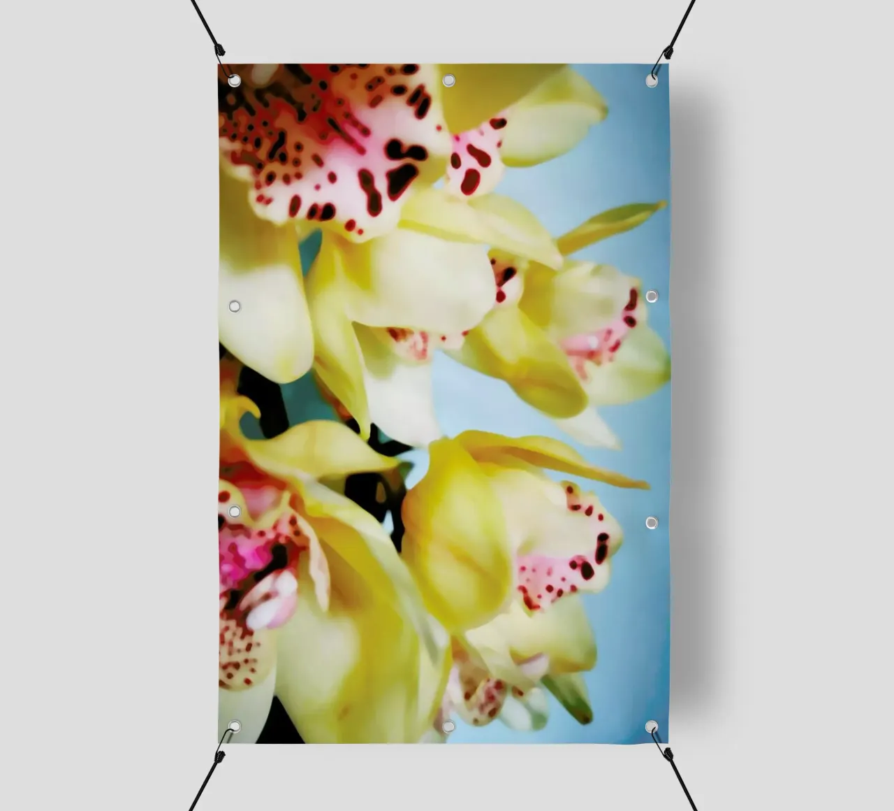 Orchids 9 telo in pvc da Angelo Cerantola