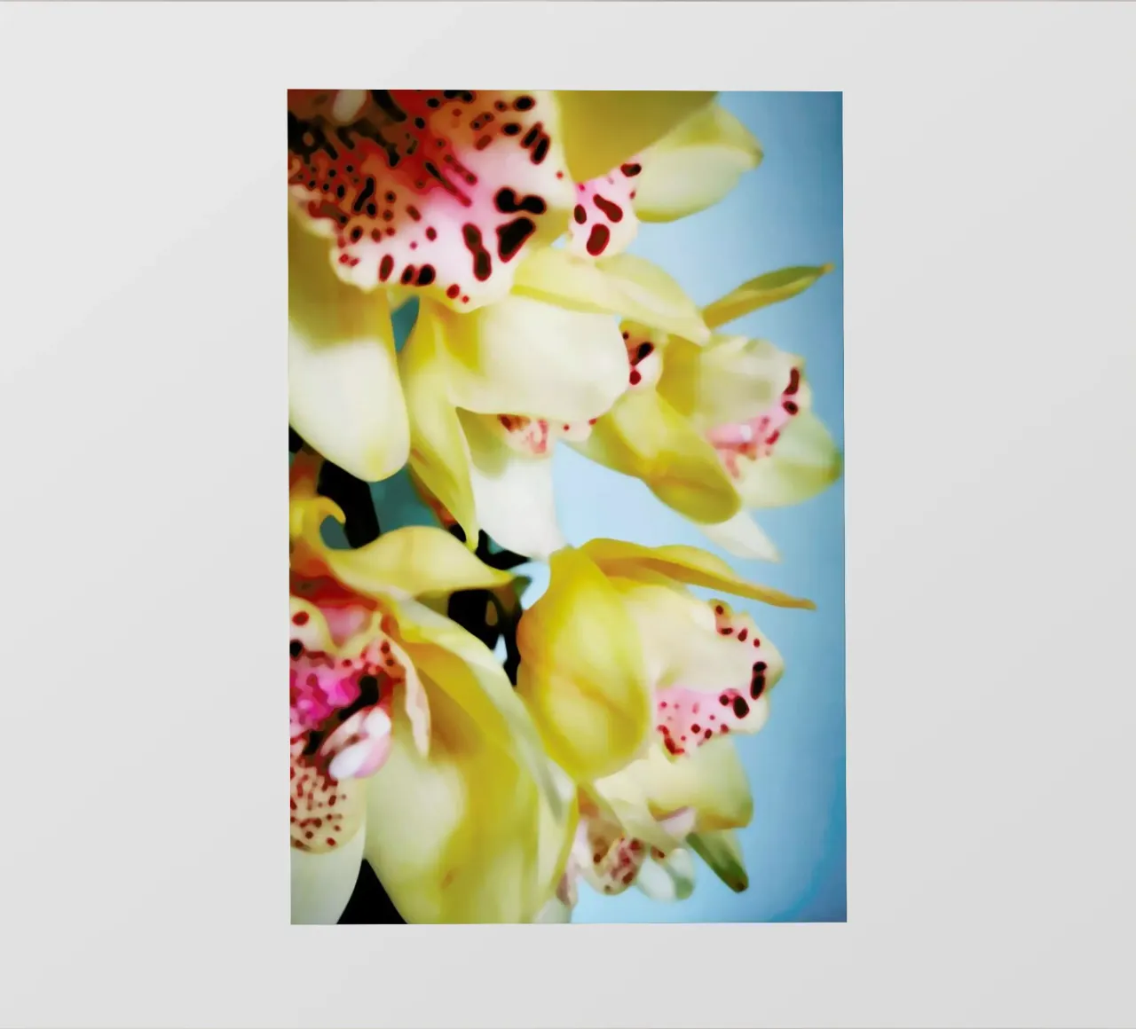 Orchids 9 telo in pvc da Angelo Cerantola