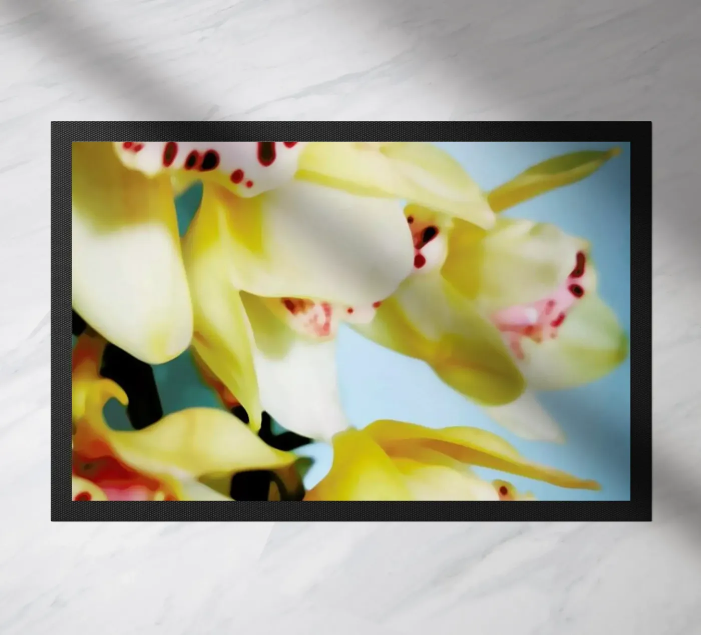 Orchids 9 zerbino da Angelo Cerantola